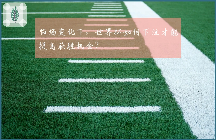 临场变化下，世界杯如何下注才能提高获胜机会？
