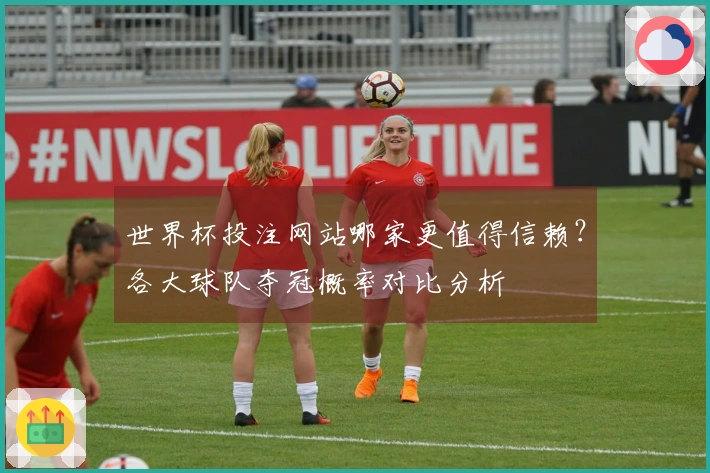 世界杯投注网站哪家更值得信赖？各大球队夺冠概率对比分析