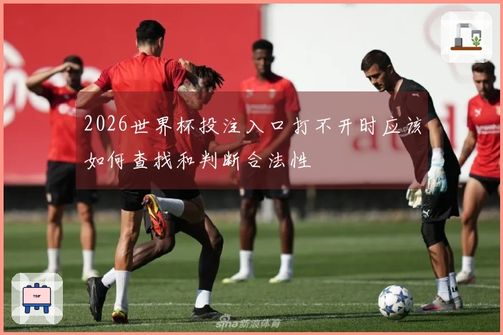 2026世界杯投注入口打不开时应该如何查找和判断合法性