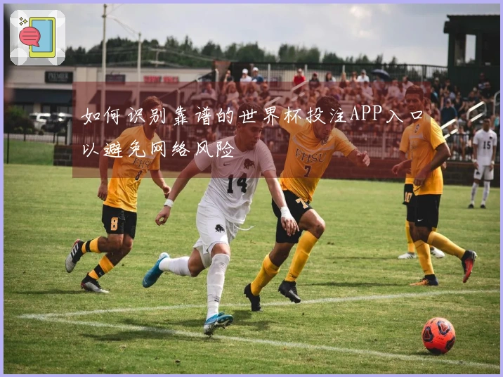 如何识别靠谱的世界杯投注APP入口以避免网络风险