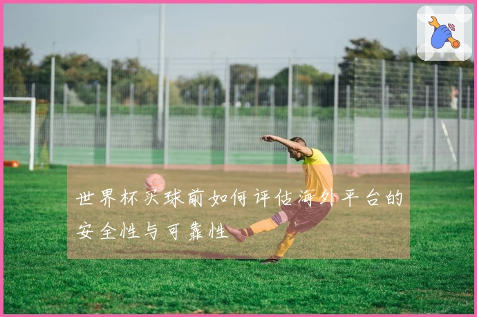 世界杯买球前如何评估海外平台的安全性与可靠性