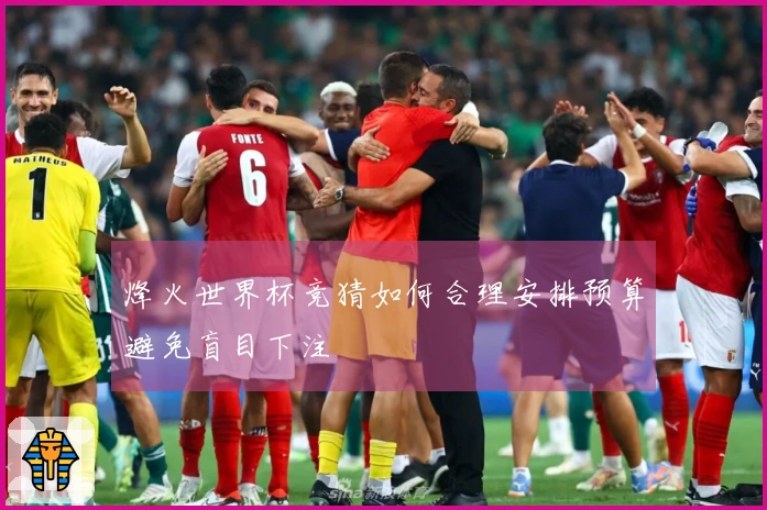 烽火世界杯竞猜如何合理安排预算避免盲目下注