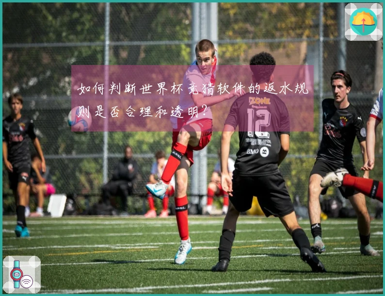 如何判断世界杯竞猜软件的返水规则是否合理和透明？