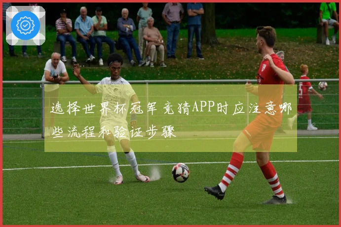 选择世界杯冠军竞猜APP时应注意哪些流程和验证步骤