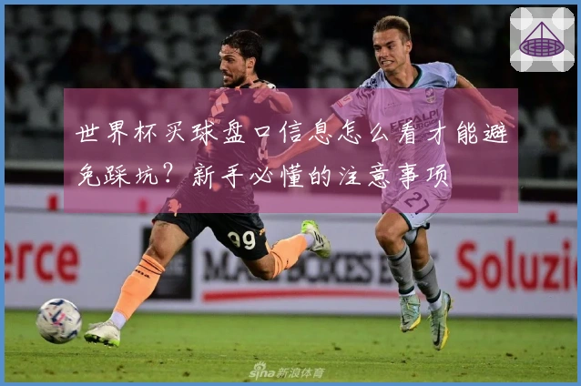 世界杯买球盘口信息怎么看才能避免踩坑？新手必懂的注意事项