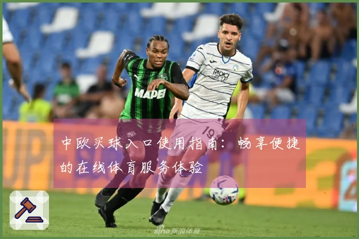 中欧买球入口使用指南：畅享便捷的在线体育服务体验