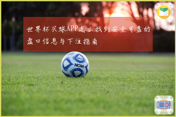 世界杯买球APP怎么找到安全可靠的盘口信息与下注指南