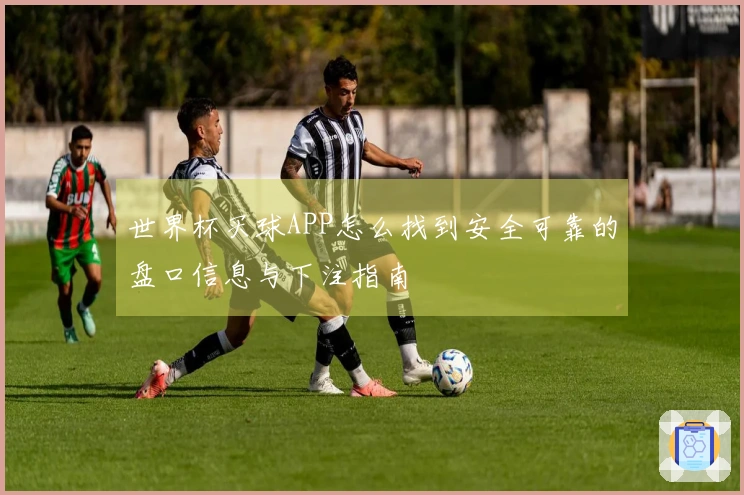 世界杯买球APP怎么找到安全可靠的盘口信息与下注指南