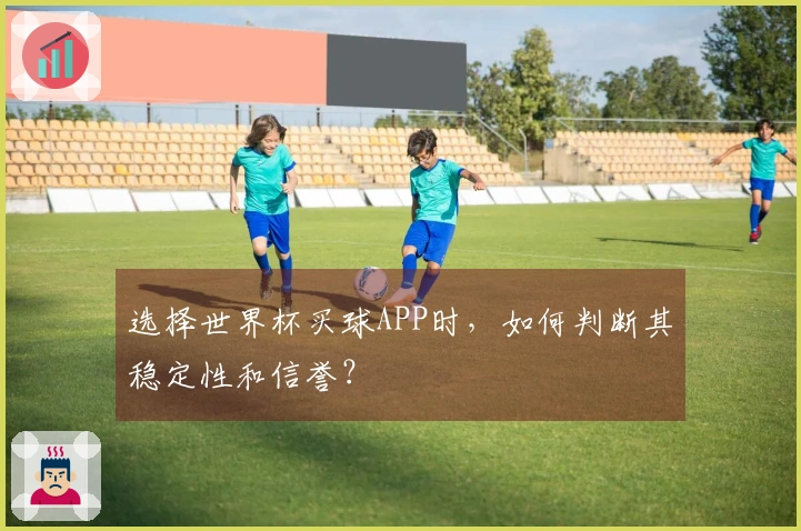 选择世界杯买球APP时，如何判断其稳定性和信誉？
