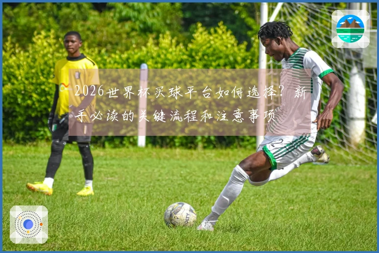 2026世界杯买球平台如何选择？新手必读的关键流程和注意事项