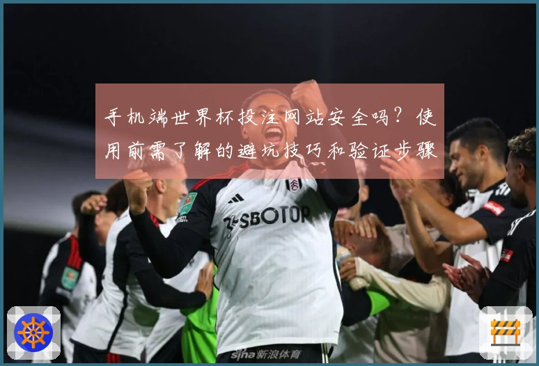 手机端世界杯投注网站安全吗？使用前需了解的避坑技巧和验证步骤