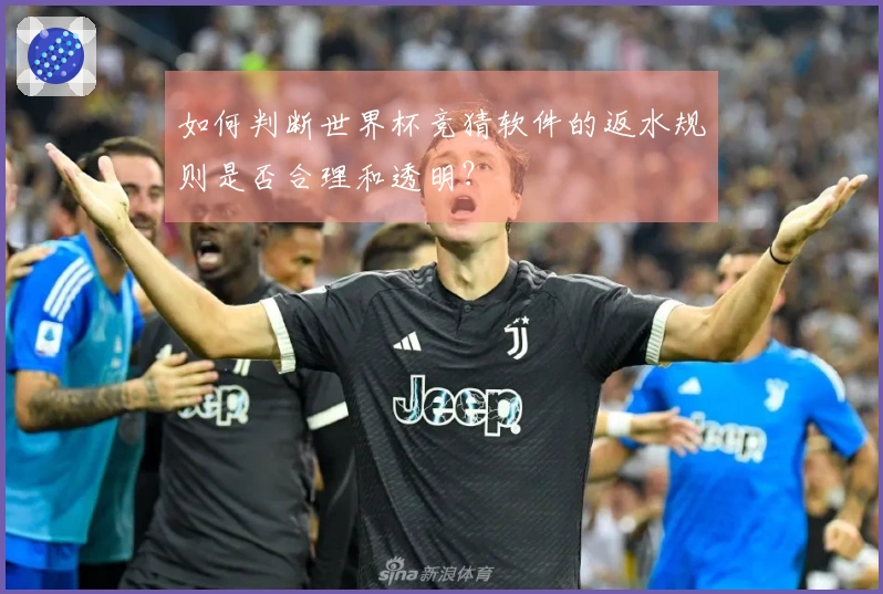 如何判断世界杯竞猜软件的返水规则是否合理和透明？