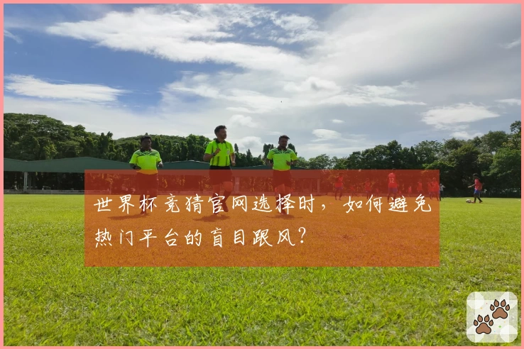 世界杯竞猜官网选择时，如何避免热门平台的盲目跟风？