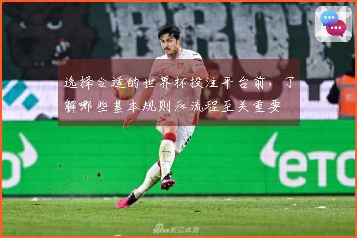 选择合适的世界杯投注平台前，了解哪些基本规则和流程至关重要