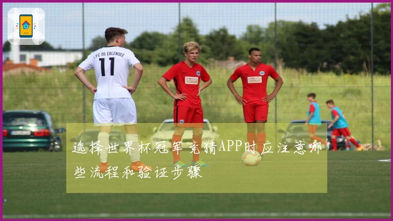 选择世界杯冠军竞猜APP时应注意哪些流程和验证步骤