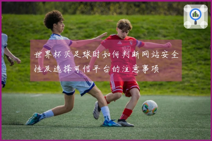 世界杯买足球时如何判断网站安全性及选择可信平台的注意事项